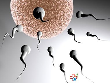 慢性前列腺炎對(duì)精子有影響嗎？