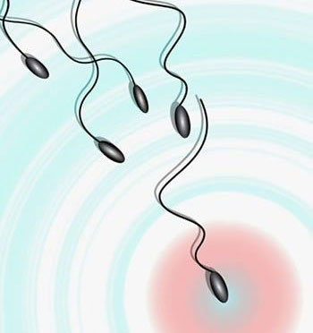 九江男性如何提高精子存活率？