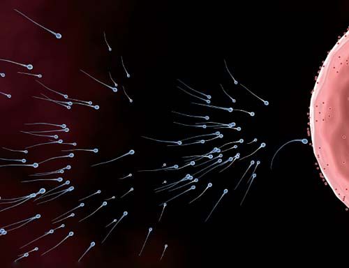 重度弱精癥的治療方法哪種好呢？